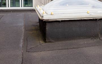 disadvantages of Hougham flat roofs