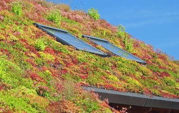 Hougham living roof systems