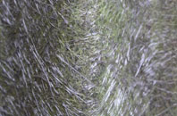 Hougham fibreglass roof work